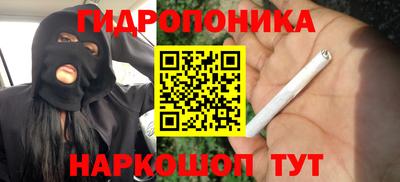 бошки Дубна
