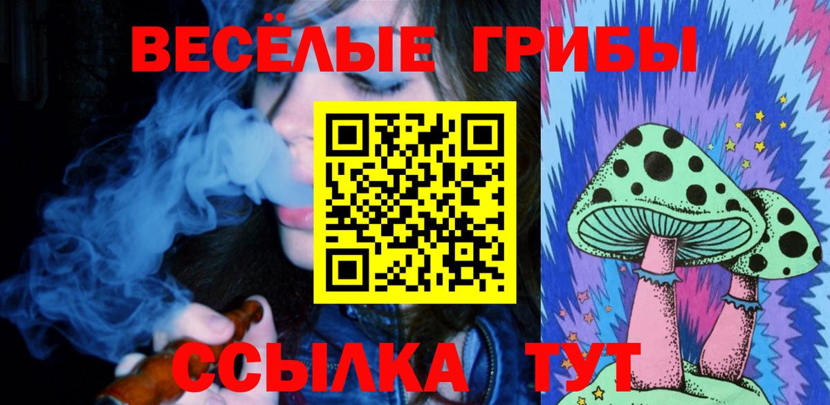 Псилоцибиновые грибы GOLDEN TEACHER  Псилоцибиновые грибы Magic Shrooms  Куйбышев  Вход с VPN 